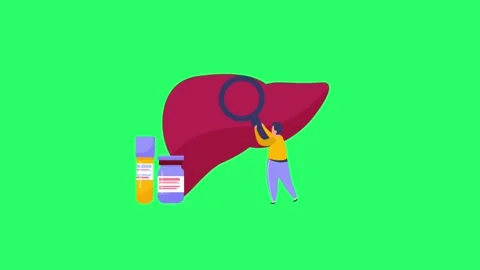 Animation lungs isolate on green screen. Stock Footage 276428451