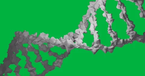 Animation of macro 3d white dna strand spinning over transparent background Stock Footage 318338039