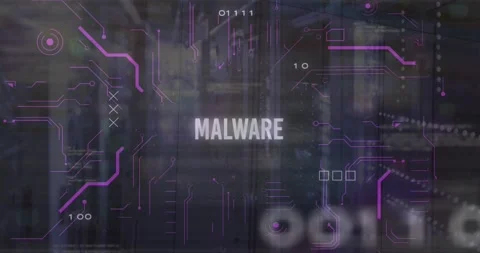 Animation of malware, binary codes, computer language, binary codes over server Stock Footage 250951777