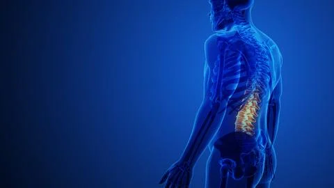 Animation of a man's inflamed lower back Illustrazione stock