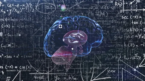Animation of mathematical data processing and human brain over black background Stock Footage 310221345