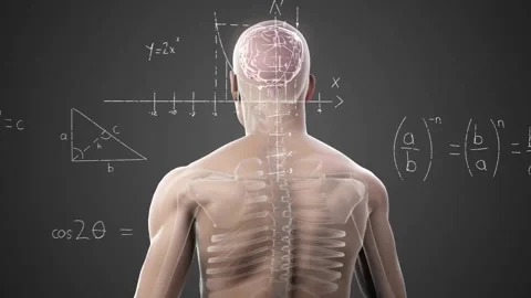 Animation of mathematical data processing over human body on black background Stock Footage 310767968
