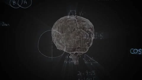 Animation of mathematical data processing over human brain Stock Footage 330594164