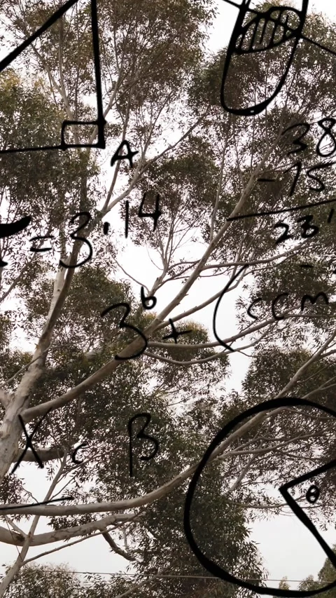 Animation of mathematical equations and formulas over tree against white Stock Footage 344723153