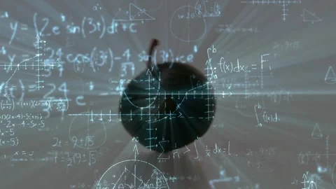 Animation of mathematical equations over blueberry on white background Stock Footage 329987285