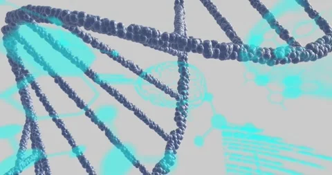 Animation of medical data processing over dna on grey background Stock Footage 325774711