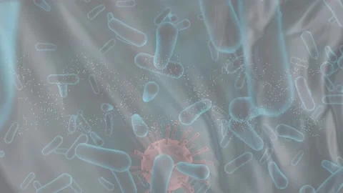 Animation of microbes and virus cells ov... | Stock Video | Pond5