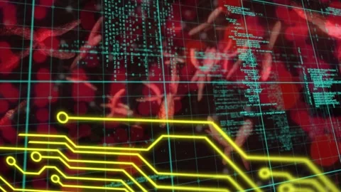 Animation of microprocessor connections and data processing over blood vessels Stock Footage 205597067
