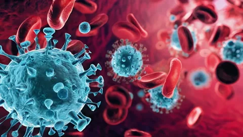 Animation of microscopic view of floating influenza virus cells. Stock Footage 304801998