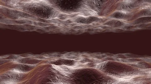 Animation of a microscopic view on moving muscle tissue Stock-Footage 83062443