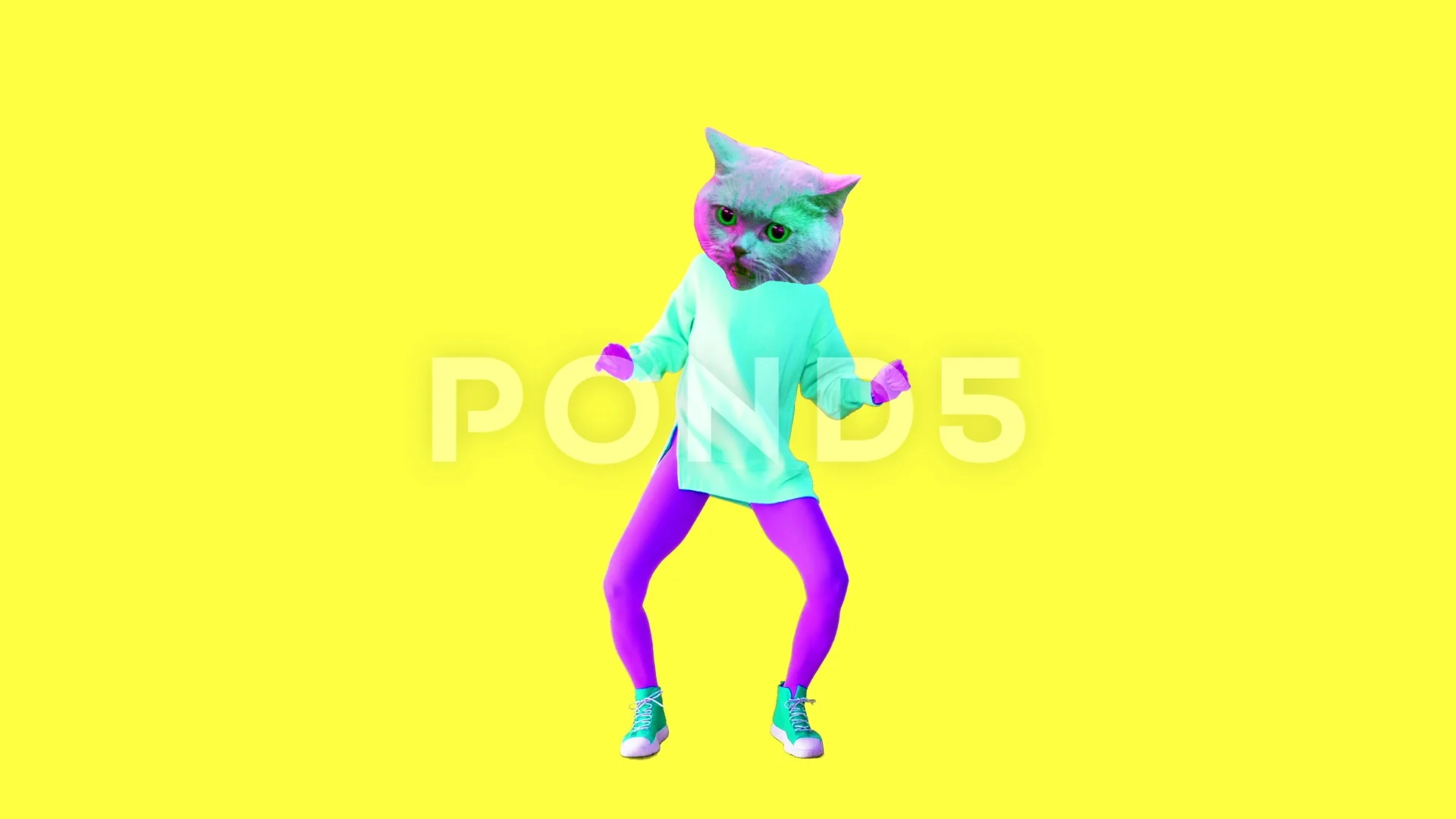 Animation minimal gif art. Dancing hipster cat