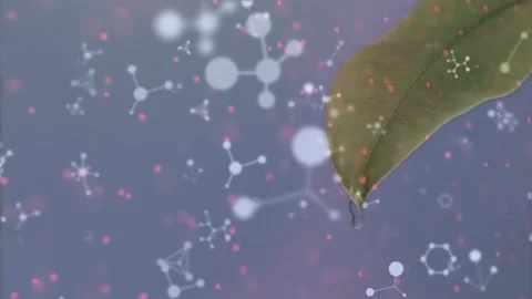 Animation of molecules and dna strand over leaf on grey background Stock Footage 329709250