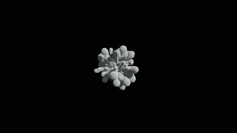 Animation of a monochrome explosion of a powder. Stock Footage 86351565