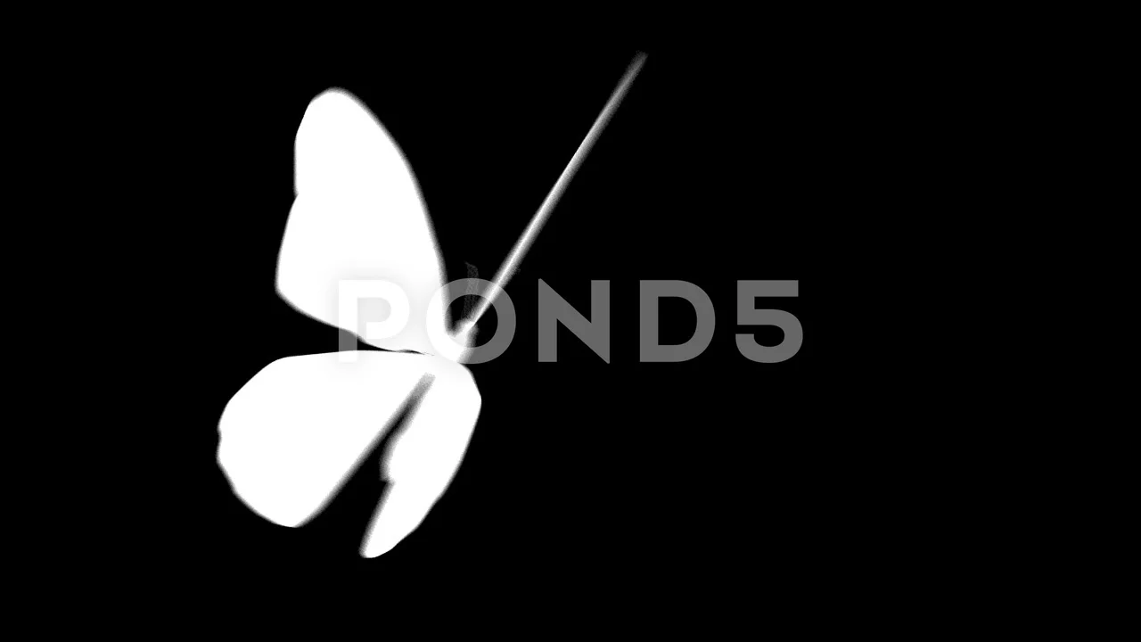 Animation of movement of one white butte... | Stock Video | Pond5