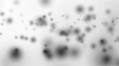 Animation of moving black spots on a white background Stock Footage 64728301