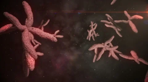 Animation of moving chromosomes | Stock Video | Pond5