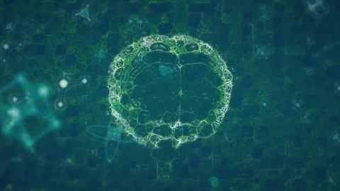 Animation of moving shapes over digital brain Stock Footage 326302065
