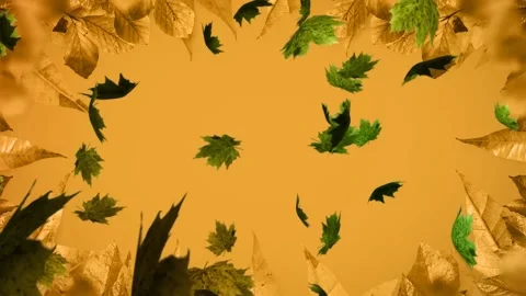 Animation of multiple autumn leaves fall... | Stock Video | Pond5
