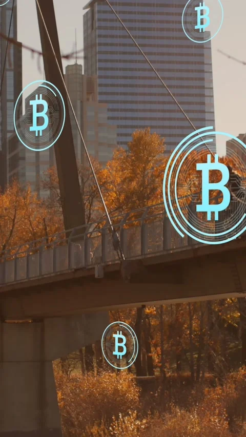 Animation of multiple bitcoin icons floating against view of city bridge Stock Footage 321441307