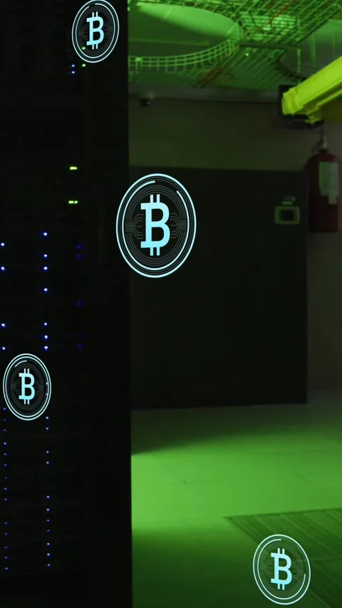 Animation of multiple bitcoin symbols floating against computer server room Stock Footage 344706575