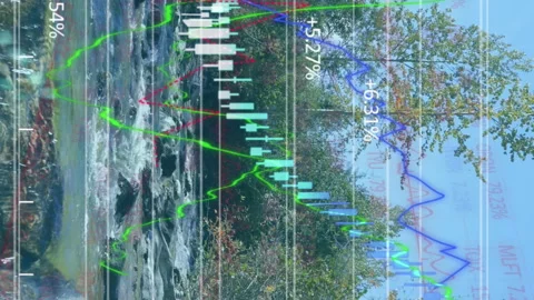 Animation of multiple graphs over stream in forest against clear sky Stock Footage 313017769