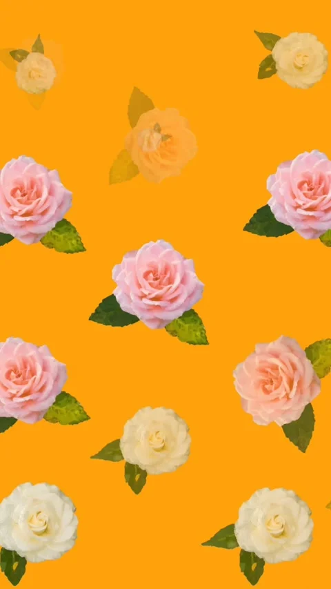 Animation of multiple pink, yellow and white roses moving over orange background 스톡 동영상 342097430