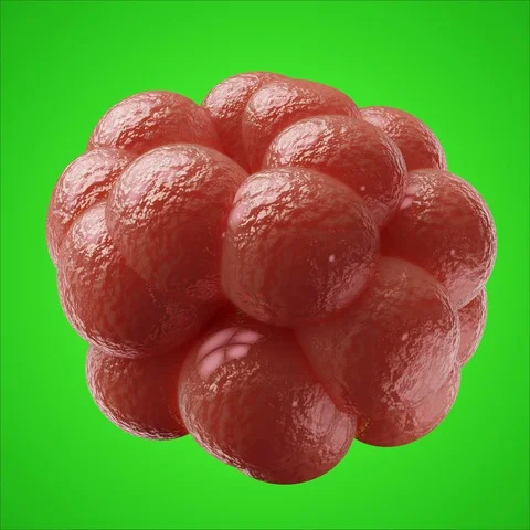 Animation of mutated corona virus cell on green isolated background. Stock Footage 124507326