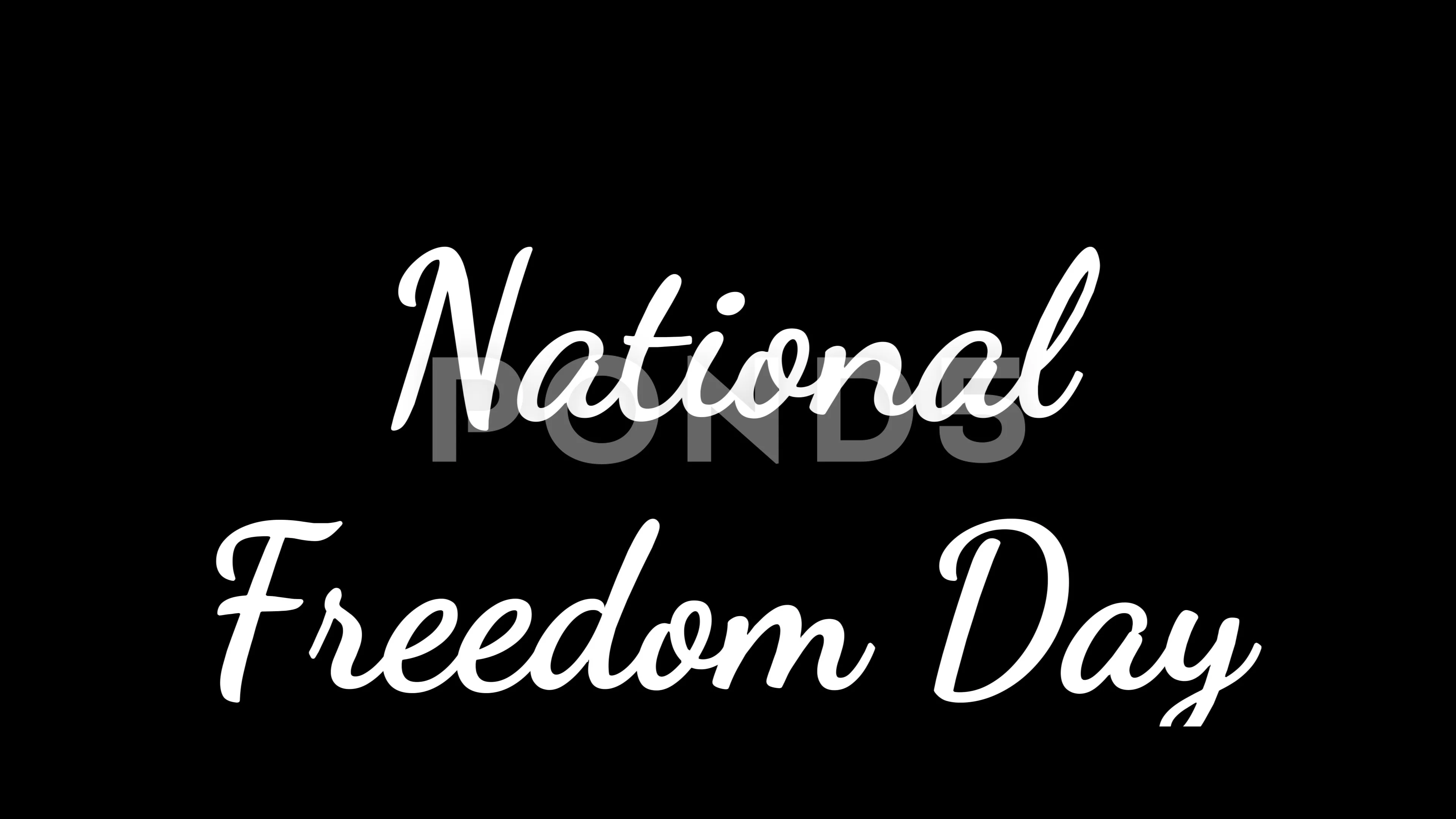 Animation National Freedom Day black bac... | Stock Video | Pond5