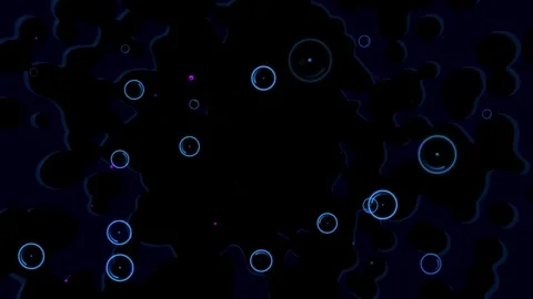 Animation of neon bubbles on a black background on which the Stock Footage 282494476