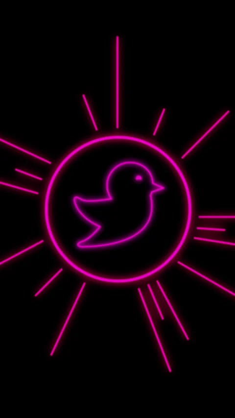 Animation of neon circle with twitter symbol over black background Stock Footage 342642376
