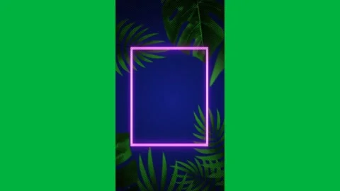Animation of neon pink rectangle over tropical plants background Stock Footage 318569720
