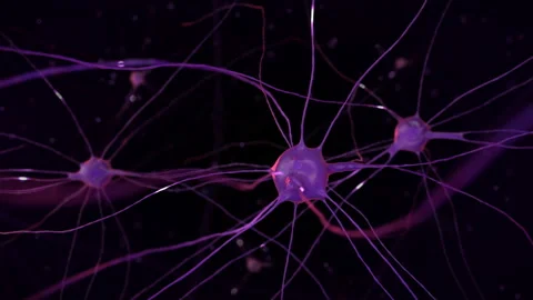 Animation of the nervous system and impulses of brain neurons under a microscope Stock Footage 165805930