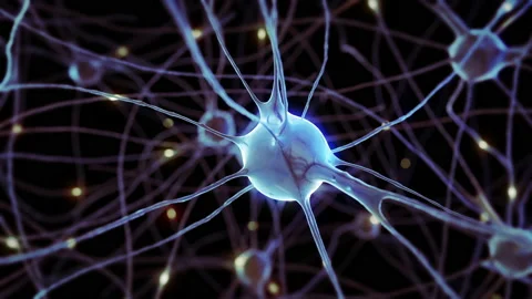 Animation of the nervous system and impulses of brain neurons under a microscope Stock Footage 166160715