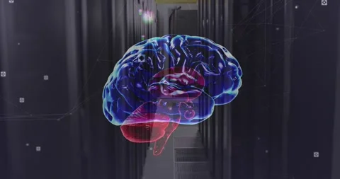 Animation of network of connections and brain over server room 스톡 동영상 330658245