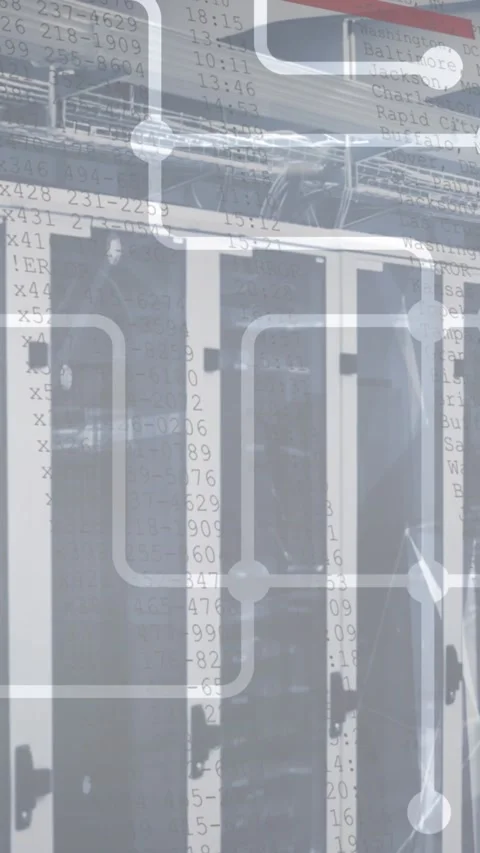Animation of network of connections and plexus networks against computer server Video stock 343954835