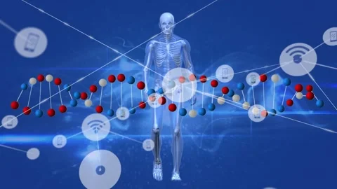 Animation of network of connections with icons over skeleton Stock Footage 330341649