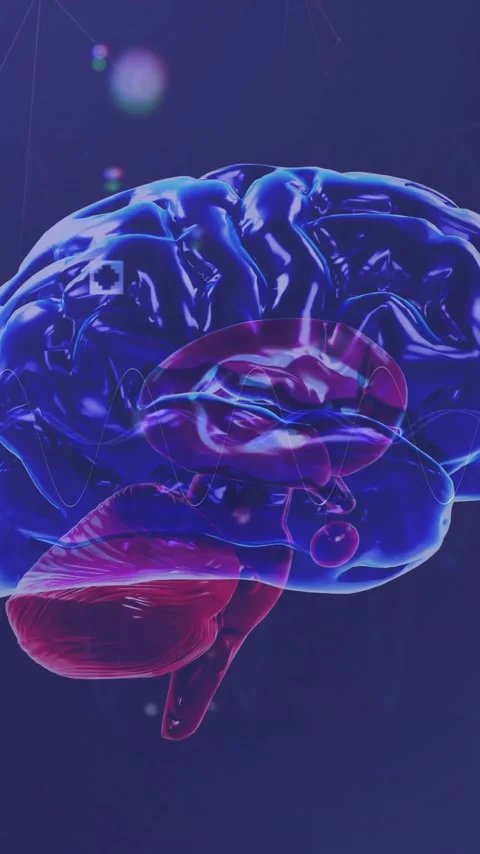 Animation of network of connections with icons over digital brain Stock Footage 341659878