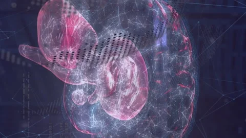 Animation of network of connections over human brain and globe Stock Footage 312547761