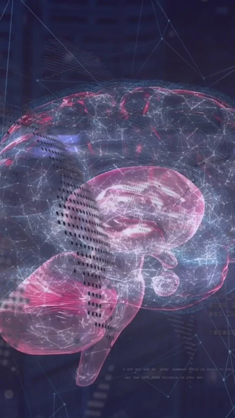 Animation of network of connections over human brain and globe Stock Footage 322148292