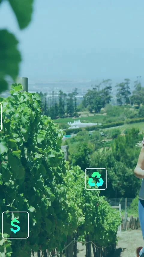 Animation of network of eco icons over caucasian couple in vineyard Vídeo Stock 343504707