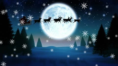 Animation of night winter scenery Stock Footage 208829962