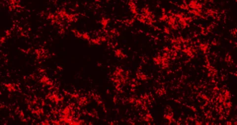 Animation noise red grunge repeat horror dark abstract Stock Footage 342573853