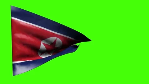 Animation of the North Korean flag. Stock Footage 219340505