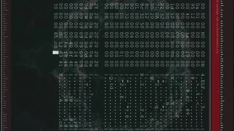 Animation of numbers, computer language in terminal interface with human brain Stock Footage 314617417