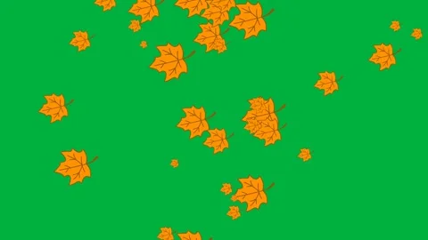 Animation of oak tree leaves falling on a green background Stock Footage 318658190