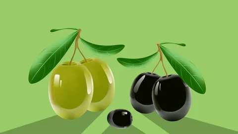 Animation of olives.1 Stock Footage 156694541