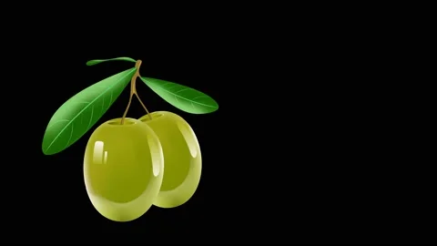 Animation of olives.2 Stock Footage 156694524