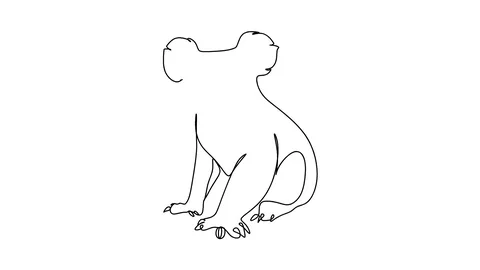 Animation of оne continuous drawing line Australian wildlife koala Stock-Footage 128424396