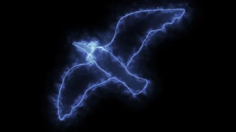 Animation one continuous line draw, logo, flying bird,  seagull Stock Footage 274665635