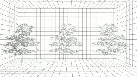 Animation of a one-line drawing of a tree blowing in the wind Stock Footage 265527765